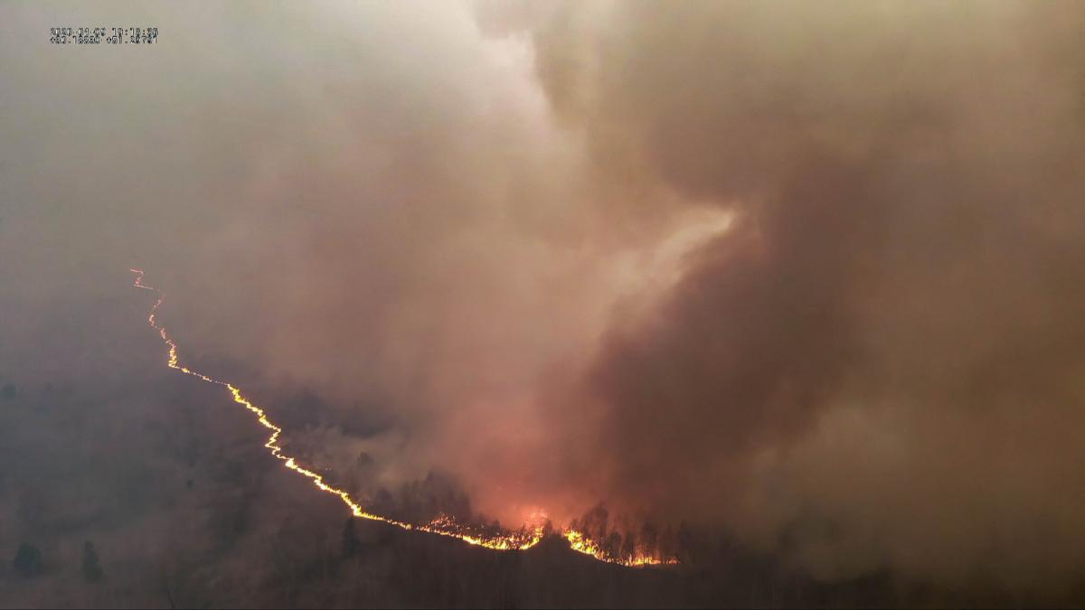 В Чорнобильській зоні продовжуються лісові пожежі В Чорнобильській зоні продовжуються лісові пожежі