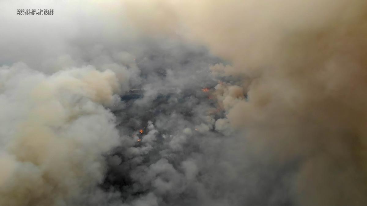 В Чорнобильській зоні продовжуються лісові пожежі В Чорнобильській зоні продовжуються лісові пожежі