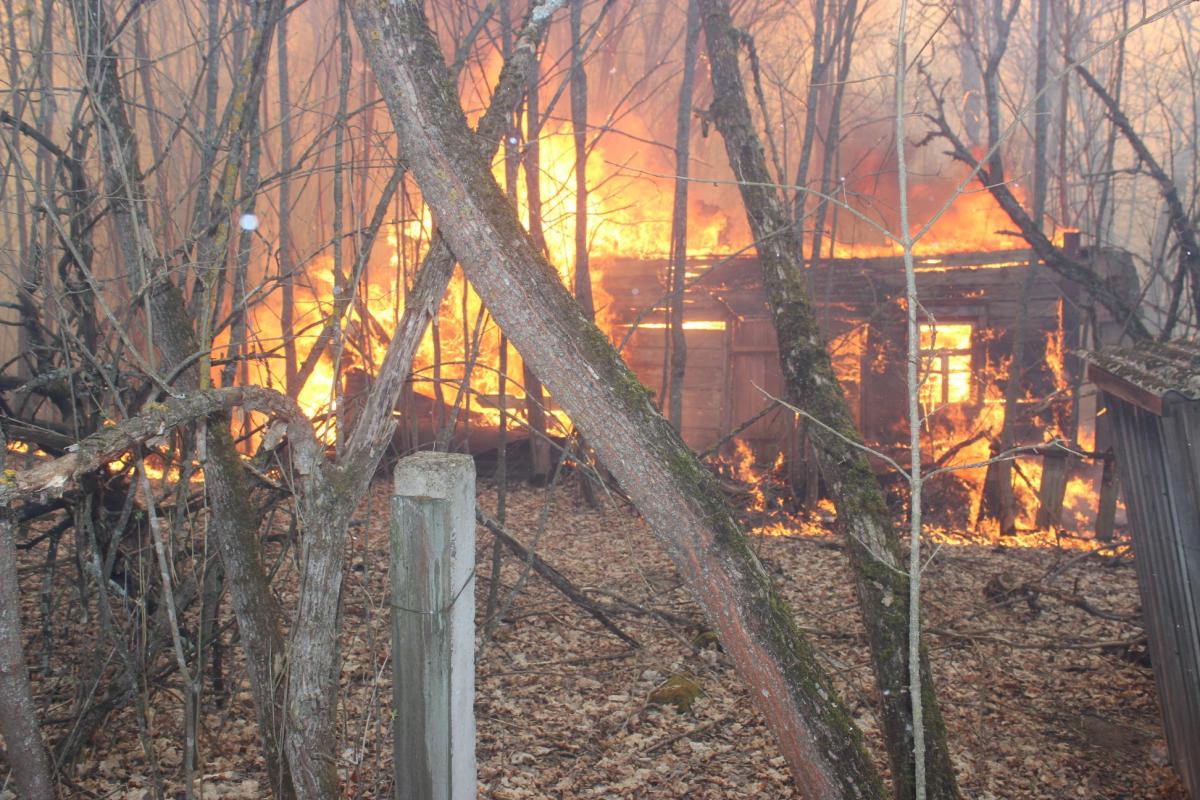 В Чорнобильській зоні продовжуються лісові пожежі В Чорнобильській зоні продовжуються лісові пожежі