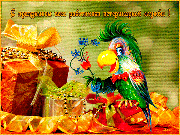 с днем ветеринара гифки красивые