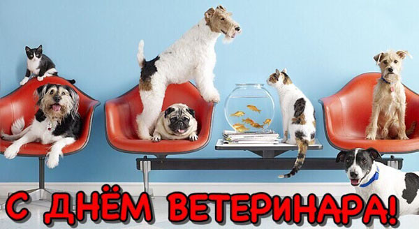 поздравление с днем ветеринара картинки поздравление с днем ветеринара картинки