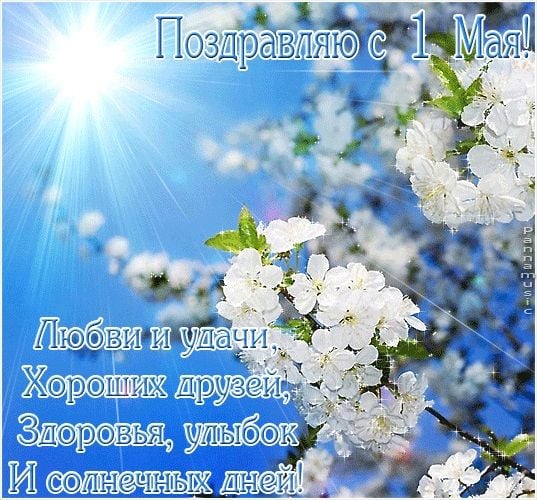 1 мая картинки 1 мая картинки