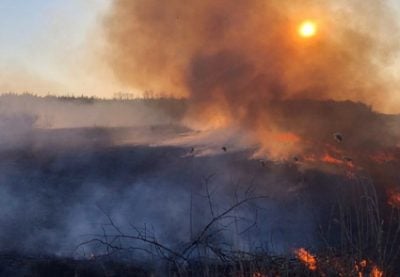 пожежа пожежа