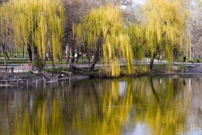 У Києві різко похолодає у п'ятницю – Прогноз погоди У Києві різко похолодає у п'ятницю – Прогноз погоди