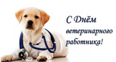 С Днем ветеринара 2020 - открытки и поздравления своими словами, стихи
