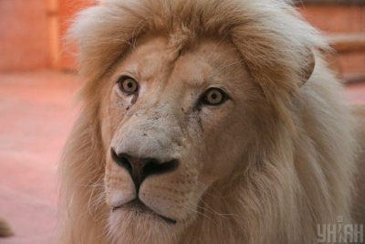 Кому в травні загрожують нещасні випадки: астролог назвав дати