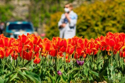 Эксперт поделилась, что в среду в Киеве будет до +24 градусов – Погода Киев завтра 