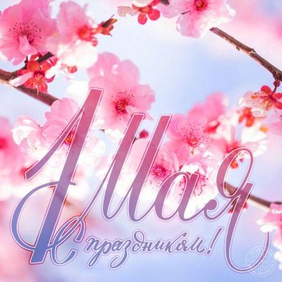 Поздравления с 1 Мая прикольные – картинки и тексты