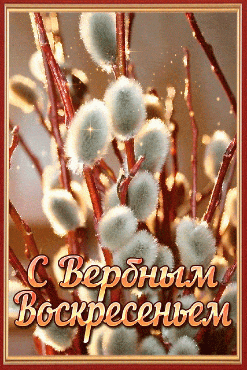 Верба картинки красивые на телефон. Верба Вербное. Веточка вербы с Вербным воскресеньем. Верба картинки. Веточкавепбы.