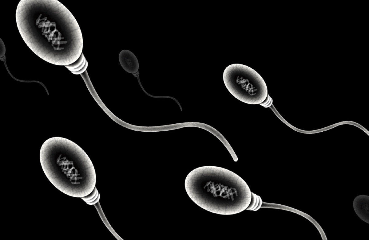 Фото здоровая сперма