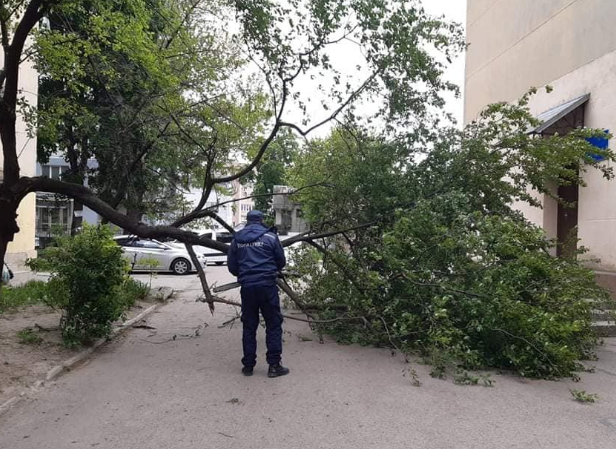 На Прикарпатті вирувала стихія – Пилова буря сьогодні На Прикарпатті вирувала стихія – Пилова буря сьогодні