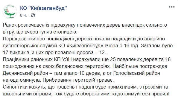 У Києві вирував сильний вітер - фото наслідків У Києві вирував сильний вітер - фото наслідків