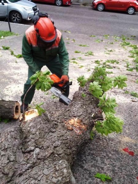 У Києві вирував сильний вітер - фото наслідків У Києві вирував сильний вітер - фото наслідків