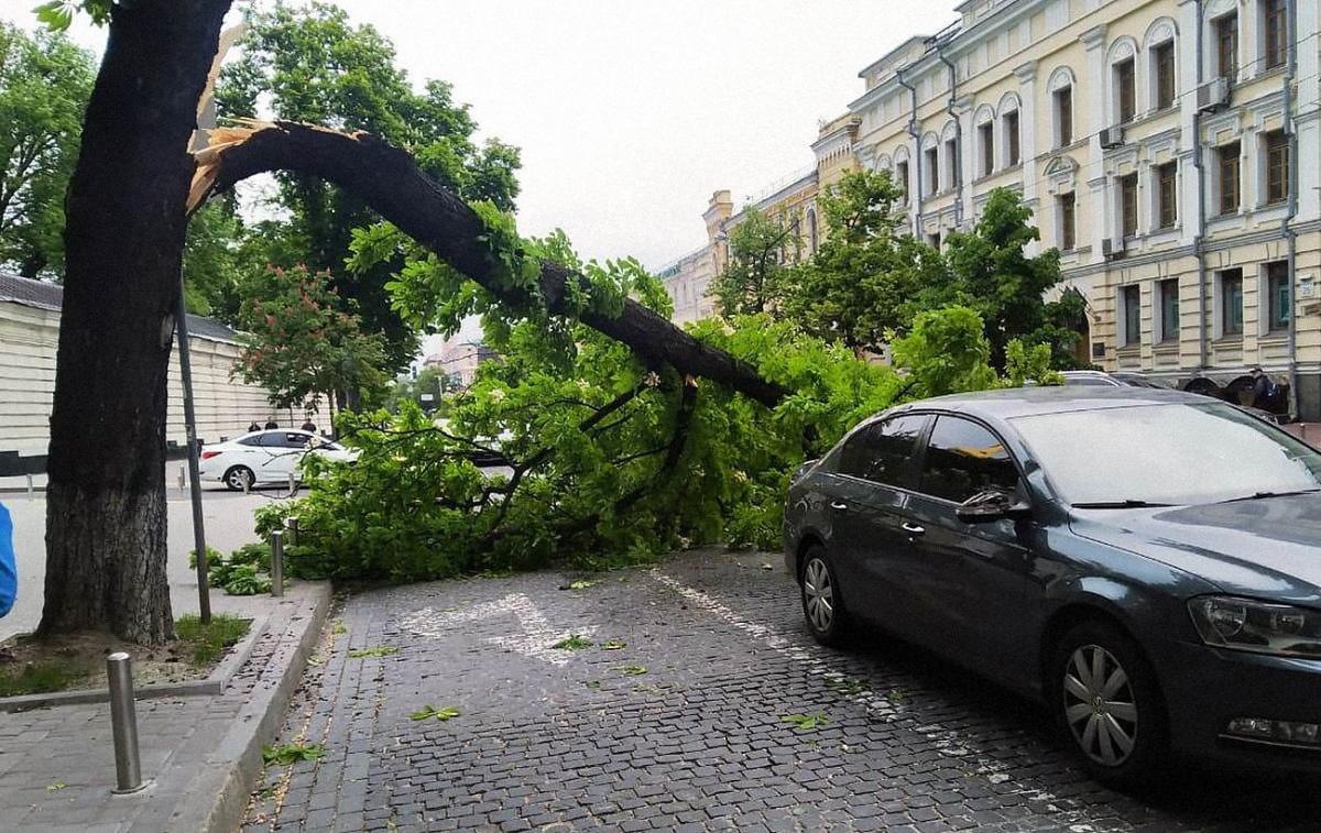 У Києві вирував сильний вітер - фото наслідків У Києві вирував сильний вітер - фото наслідків