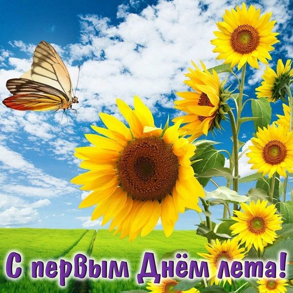с 1 днем лета картинки с 1 днем лета картинки