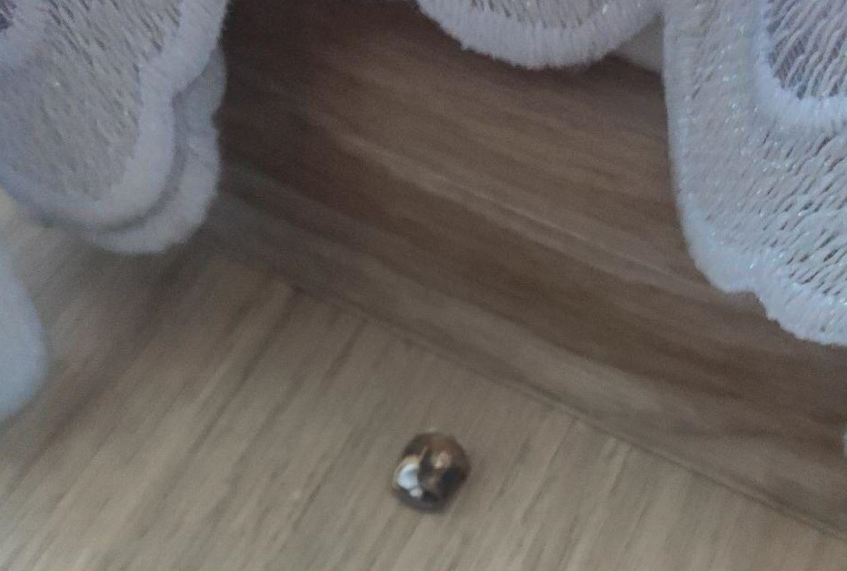 Перестрілка в Броварах Перестрілка в Броварах