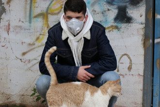 коронавірус коронавірус
