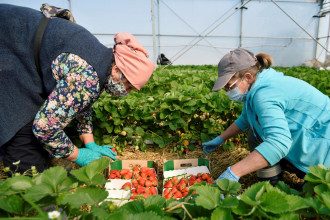 Заробітчани Заробітчани