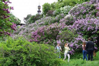 Синоптики спрогнозували, що у Києві наступного тижня відчутно потеплішає – Погода Київ Синоптики спрогнозували, що у Києві наступного тижня відчутно потеплішає – Погода Київ
