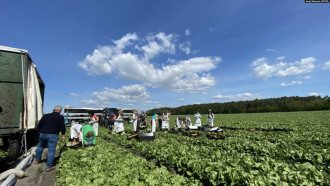 Заробітчани Заробітчани