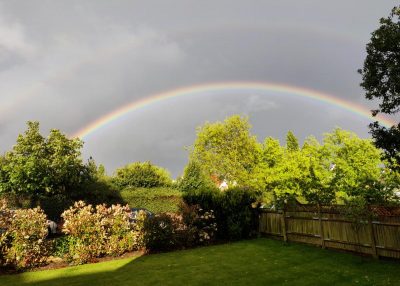 Овны в праздник могут получить вкусные плоды – Гороскоп на сегодня 3 мая 2020 года