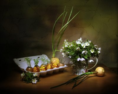 Лунный посевной календарь на декабрь 2020 - что осталось успеть