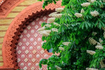 Наталка Діденко спрогнозувала, що у суботу частина України позбавиться дощів – Погода в Україні завтра 