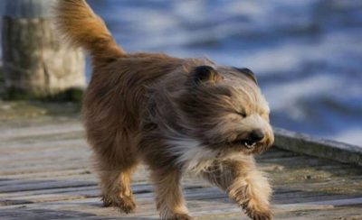 штормове попередження штормове попередження