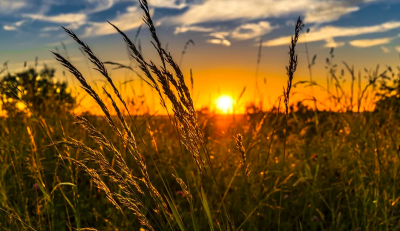 погода, літо  погода, літо