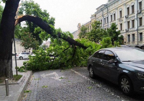 У Києві вирував сильний вітер - фото наслідків