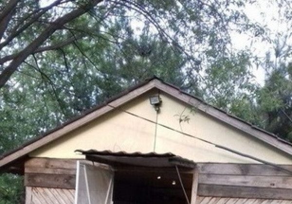 Масовий розстріл на Житомирщині: у поліції розповіли подробиці