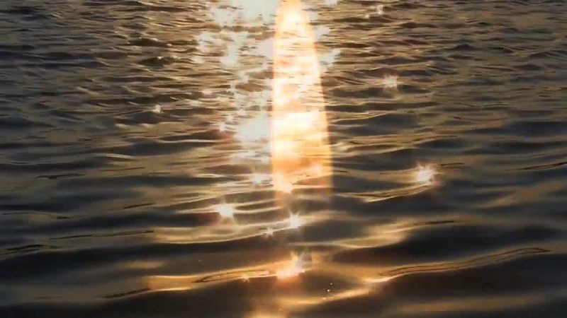 "Вы просто ох*ели": в Сети разразился скандал из-за ремикса на песню-реквием Пливе кача