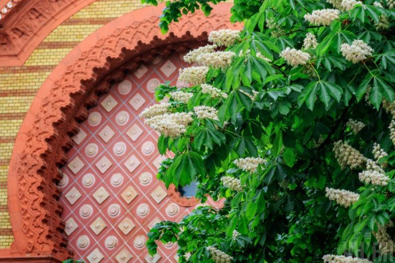 "Частина України позбавиться дощів": синоптик дала прогноз погоди на суботу