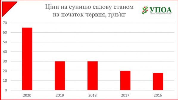 В Украине рекордно подорожала популярная ягода-лакомство