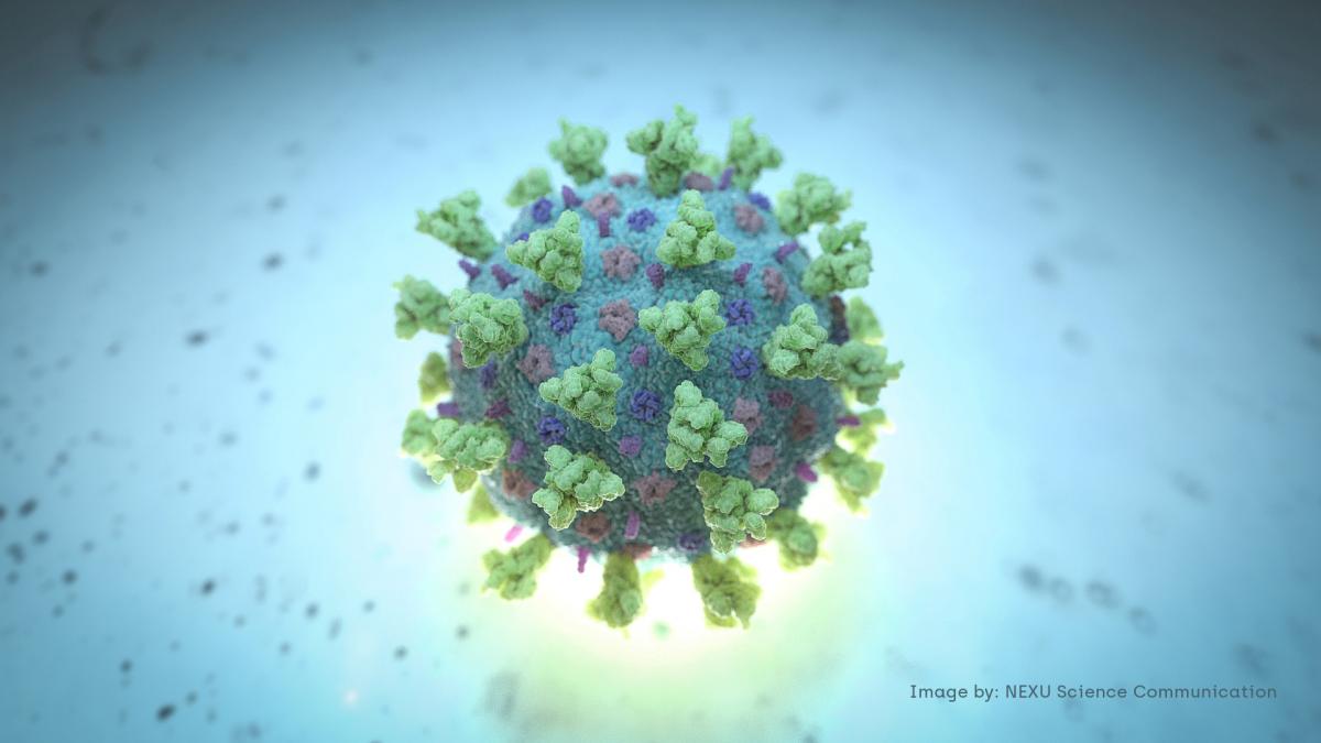 Человечеству придется пережить еще один коронавирус - ученые