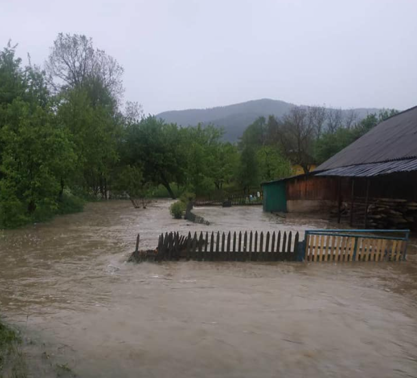 На Прикарпатті затопило частину села, у Мережі назвали причину На Прикарпатті затопило частину села, у Мережі назвали причину