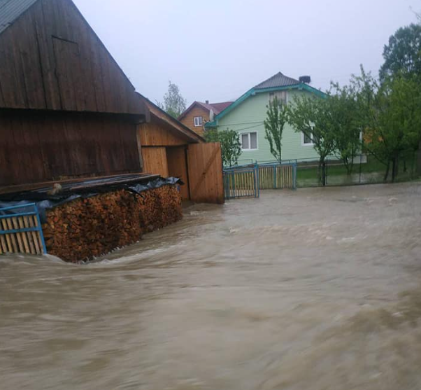 На Прикарпатті затопило частину села, у Мережі назвали причину На Прикарпатті затопило частину села, у Мережі назвали причину
