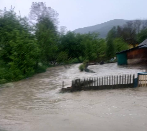 На Прикарпатті затопило частину села, у Мережі назвали причину На Прикарпатті затопило частину села, у Мережі назвали причину