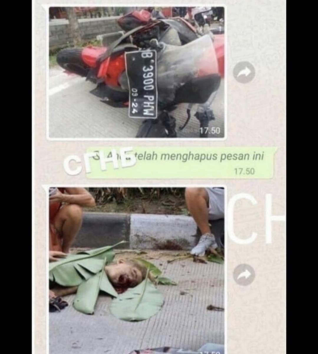 На Балі загинула відома російська блогер-мільйонник