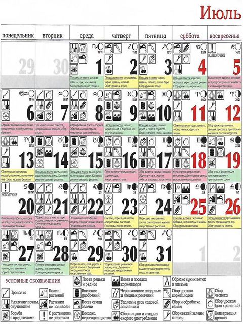 Місячний посівний календар на липень 2020