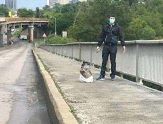 Задержать минера моста омог служебный пес