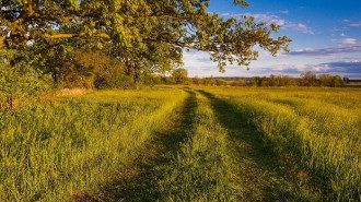 11 июня - праздник День Феодосьи - что нельзя делать, приметы 11 июня - праздник День Феодосьи - что нельзя делать, приметы