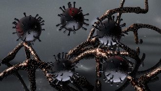 коронавірус коронавірус