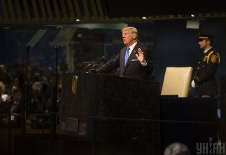 Трамп Трамп