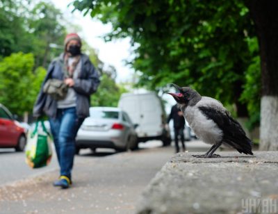 Киеву грозят погодные удары – Погода Киев завтра 