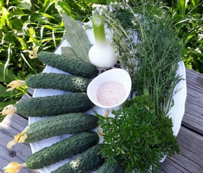 В контейнере огурчики могут стать малосольными через 12 часов – Малосольные огурцы рецепт хрустящие 