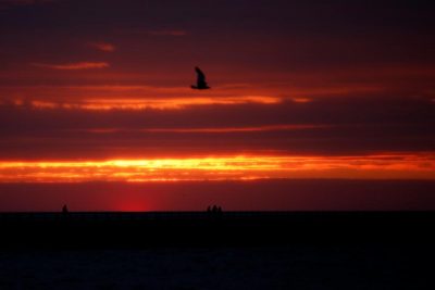 Романтичний вчинок спрогнозовано двом знакам Зодіаку – Гороскоп на сьогодні 24 червня 2020 року