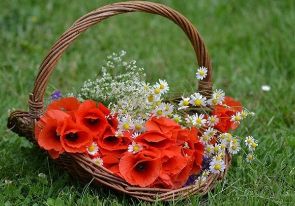 З днем ангела, Таїсія: привітання на словах і листівки для Таї