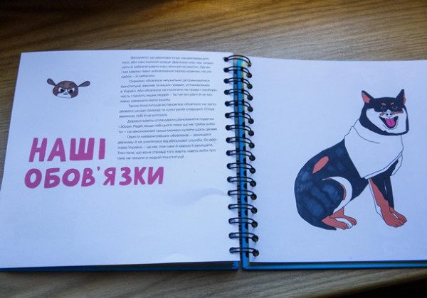 В Україні видали незвичайну Конституцію для наймолодших