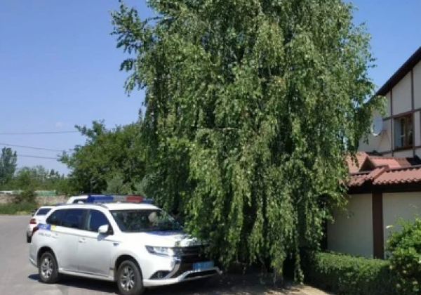 "Постріл у голову": у Миколаєві загинула дружина депутата облради